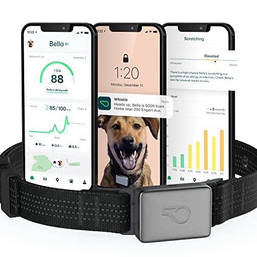 Whistle Switch GPS + Health + Fitness Smart Dog Collar