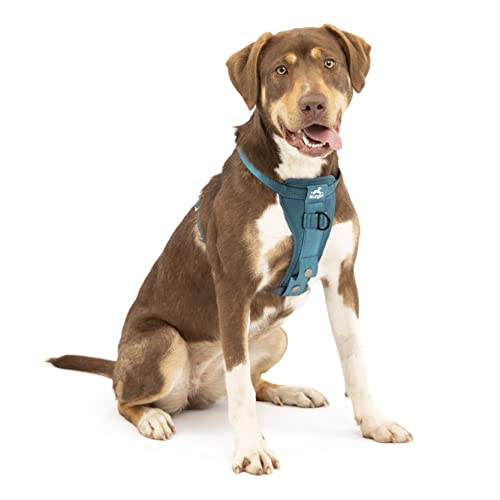 Kurgo Enhanced Strength Tru-Fit Dog Car Harness