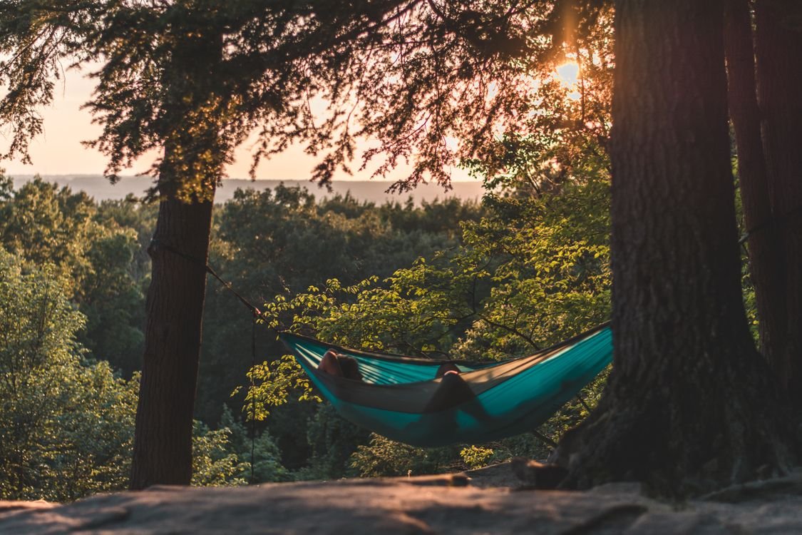 Camping hammock set up between two trees at a backcountry campsite