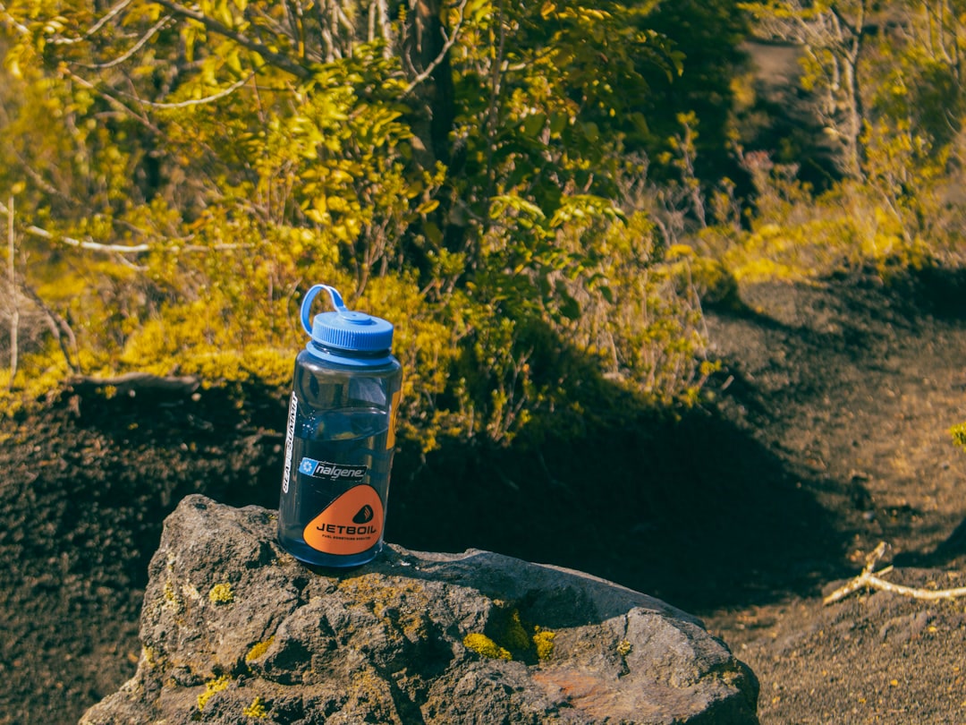 Dog camping sleep gear laid out on a rock at a trailside campsite