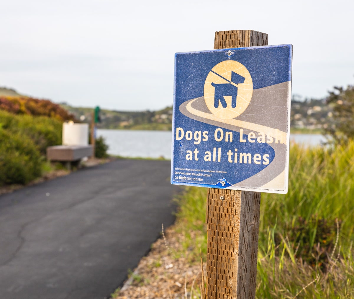 Dog owner stepping off a narrow hiking trail to let another hiker pass, dog sitting calmly at their side