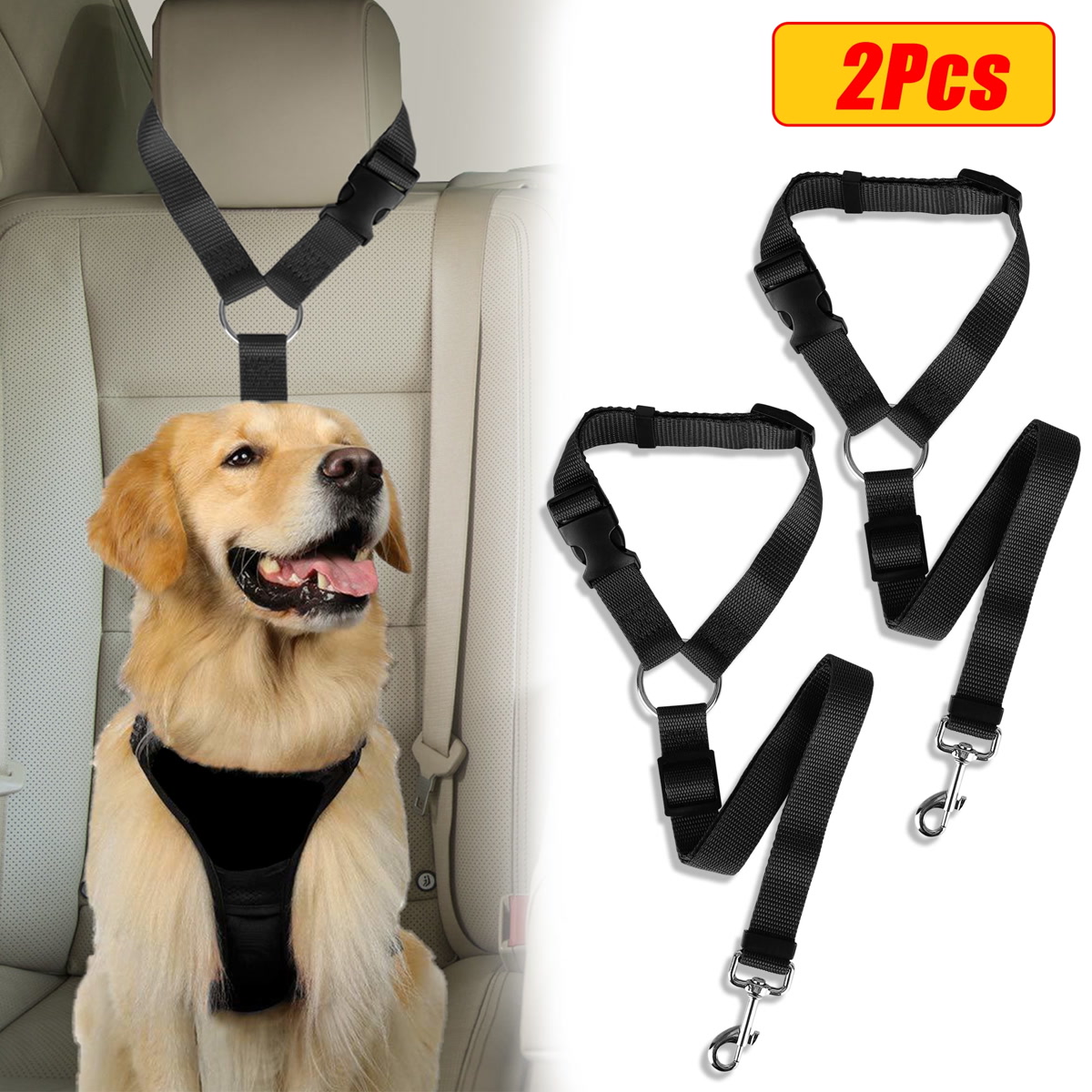 A dog wearing a safety harness in a car with travel supplies visible