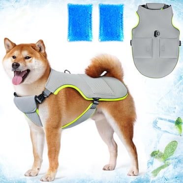 A happy golden retriever wearing a blue cooling vest walking confidently on a hot sunny hiking trail