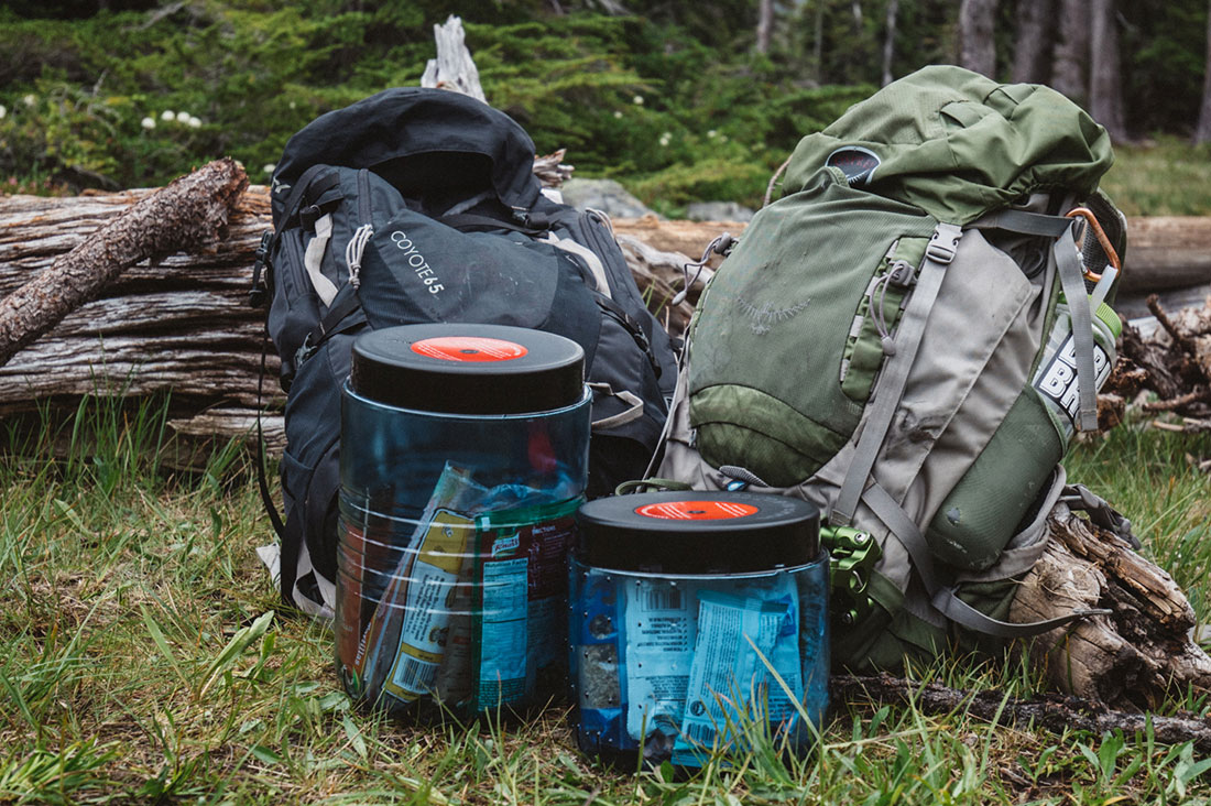 Bear canister in a backpacking setting in wilderness area