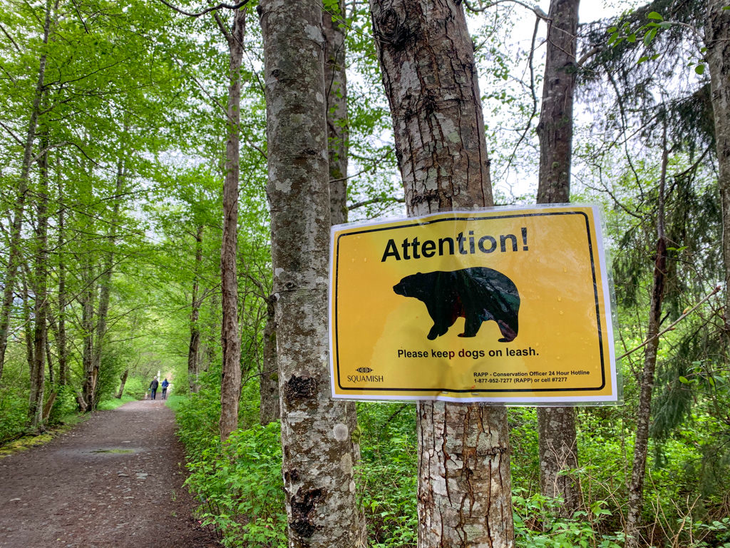 Bear warning sign on a hiking trail in bear country