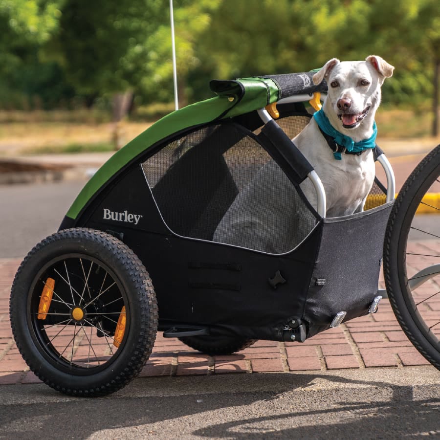 Burley Tail Wagon pet bike trailer with mesh windows