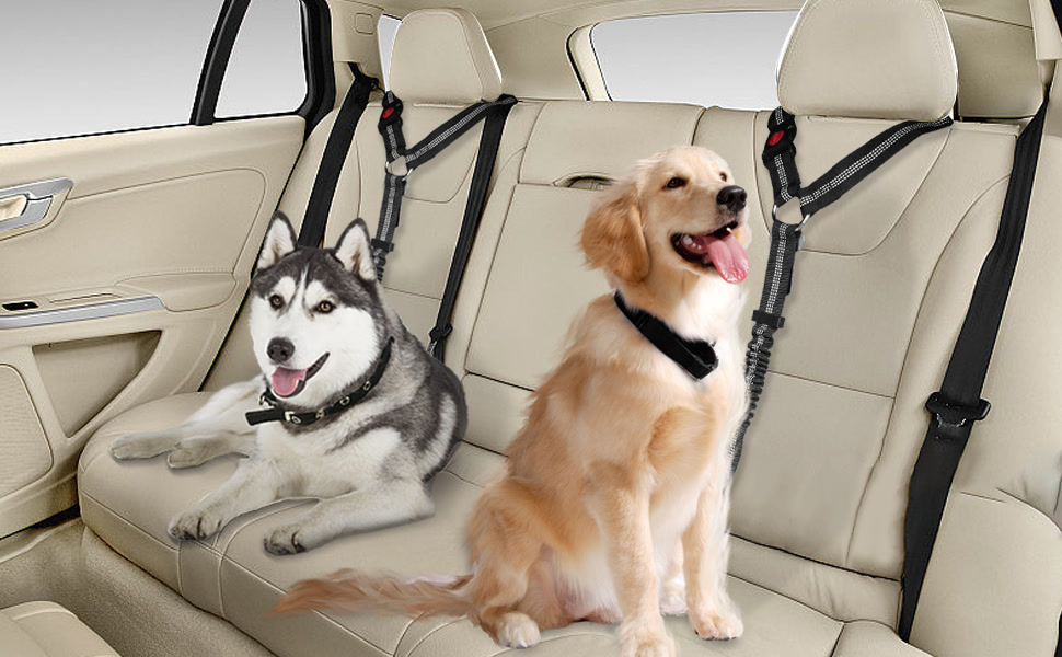 Crash-tested dog car harness with seatbelt attachment