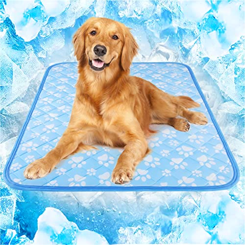 Dog cooling mat product for post-exercise recovery