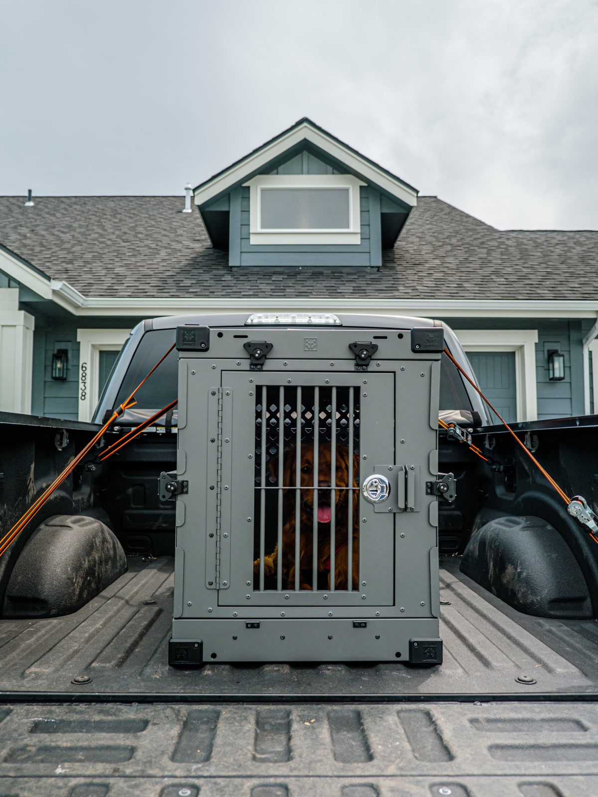 Dog secured in a travel crate in the cargo area of an SUV