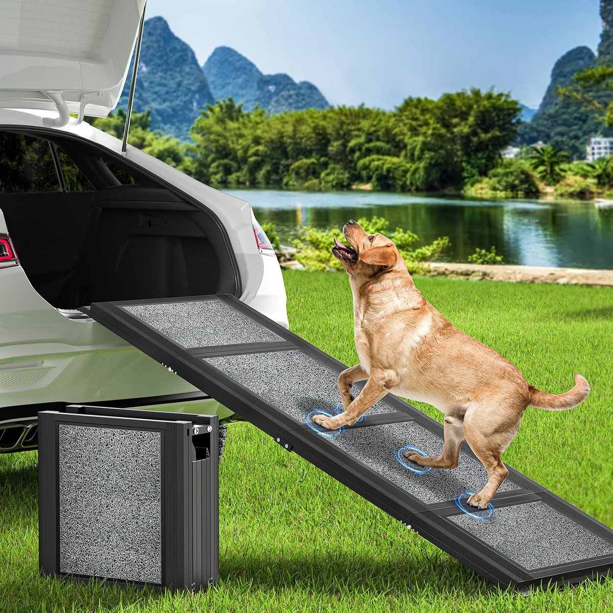 Senior dog walking up a loading ramp into an SUV at a campsite