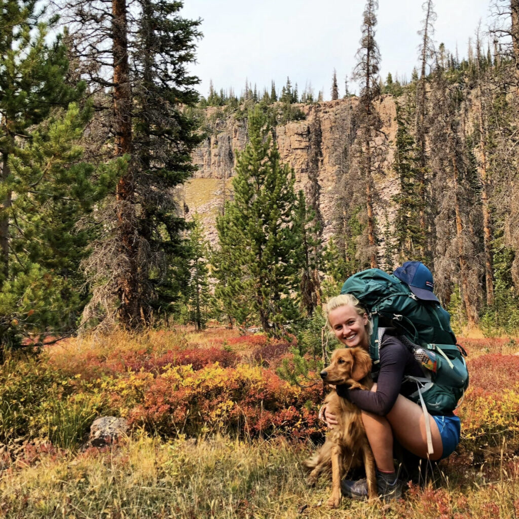 Dog wearing a fitted hiking pack on a trail