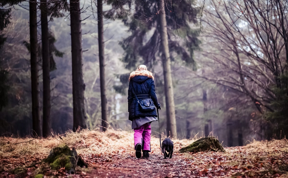 A person walking a dog on a trail with a poop bag dispenser attached to the leash, outdoor hiking setting with natural light