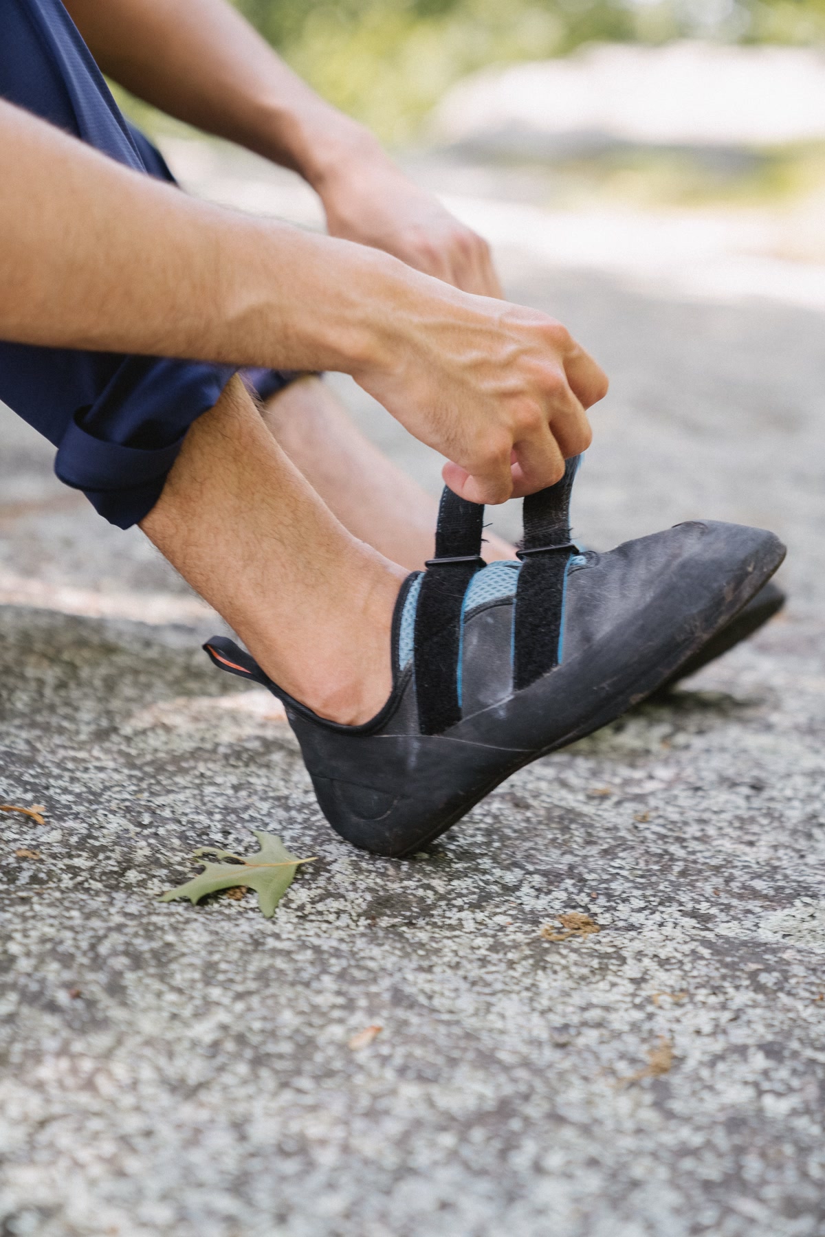 Close-up of dog boots being fitted on a dog's paw with a handler adjusting the velcro straps