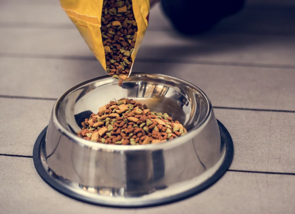 A dog's food bowl with a probiotic powder sachet being sprinkled over kibble, clean kitchen setting with natural light