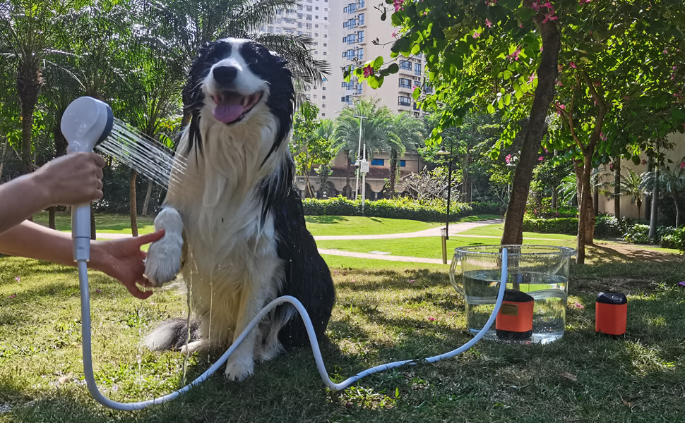 A dog being bathed outdoors at a campsite with a portable dog shower, suds visible in the fur