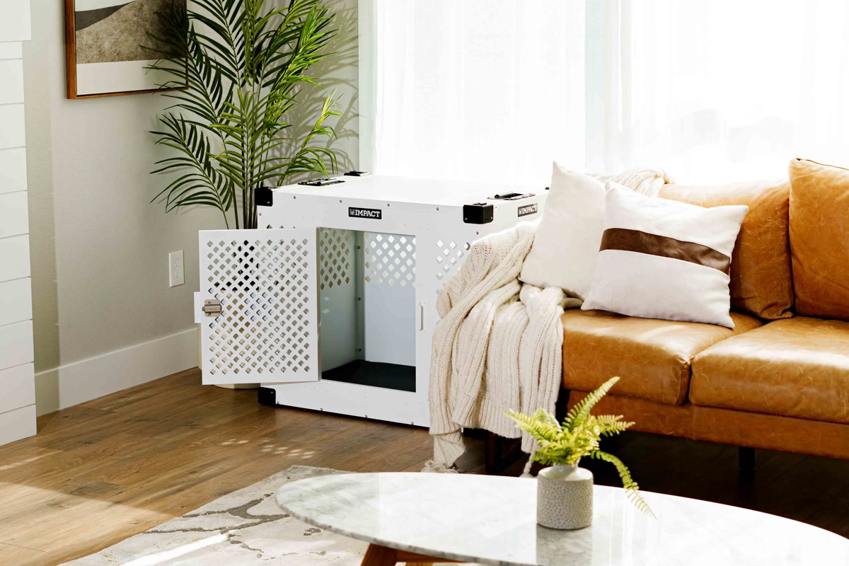 A simple affordable wire dog crate set up in an apartment living room with a small dog peeking through the door, neutral decor around