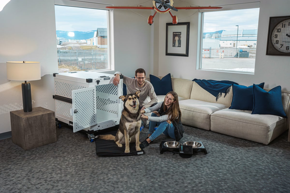 A sleek silver aluminum heavy-duty dog crate set up in a garage with a large German shepherd lying comfortably inside, industrial setting