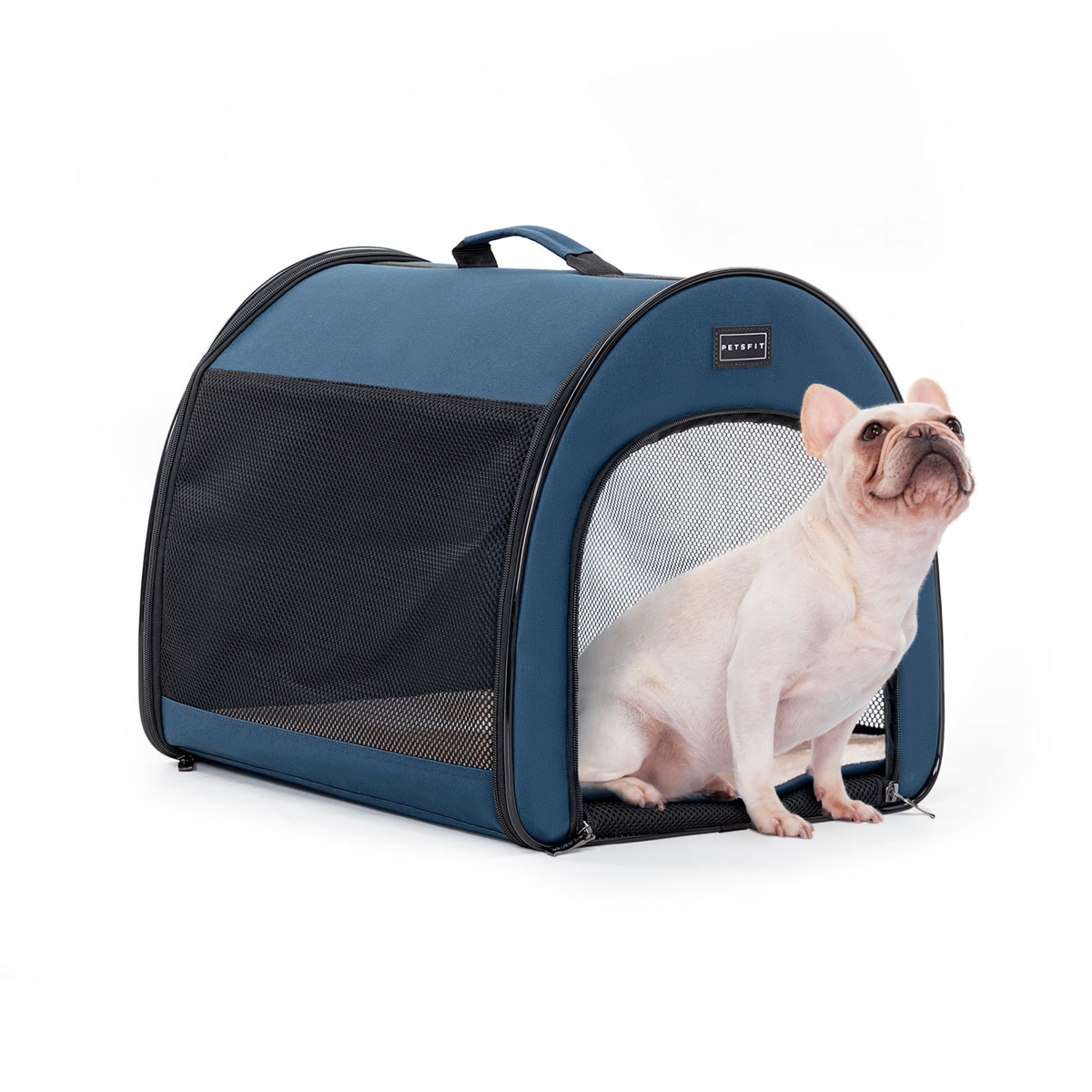 A navy blue soft-sided pop-up dog crate set up at a campsite with a small terrier inside, mesh windows visible, outdoor setting