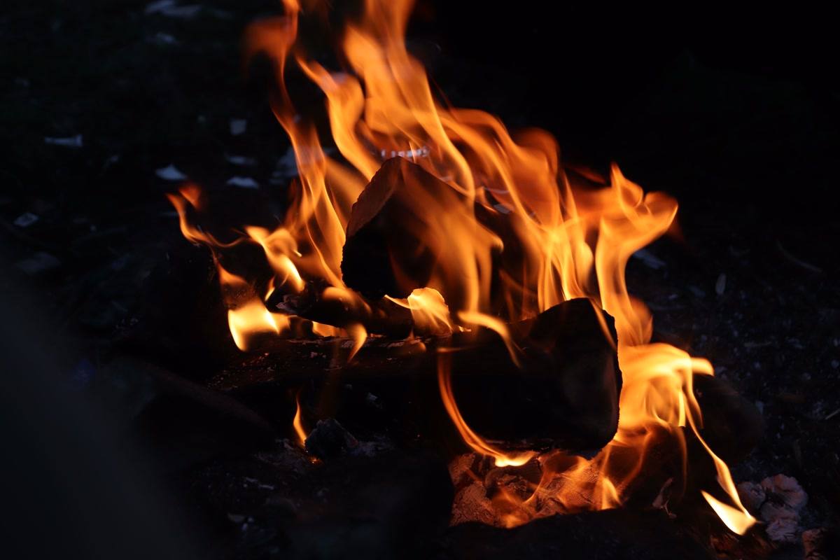 Campfire just catching with fire starter cubes and kindling