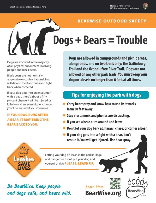 Bear safety information poster for hiking with dogs in bear country