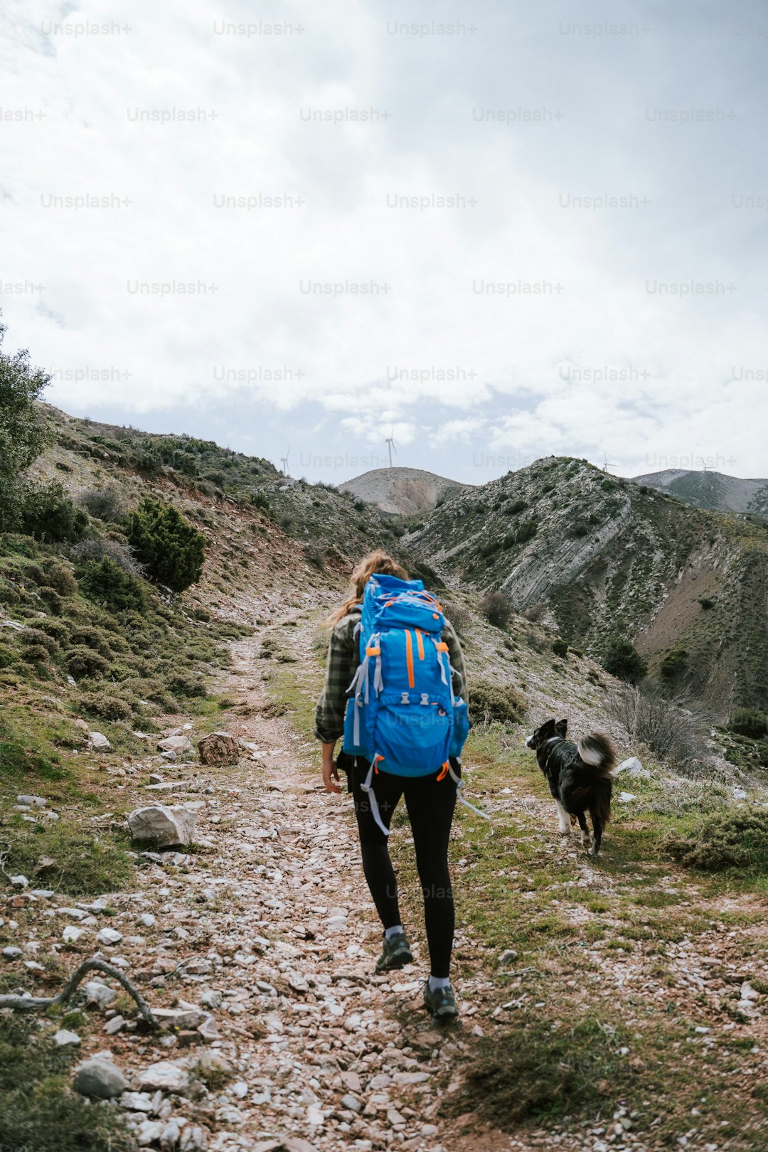 Hiker with a dog on a forest trail using a GPS tracker
