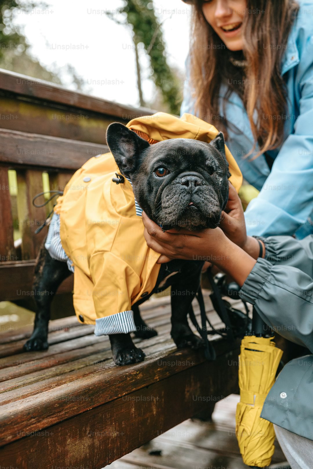 Dog wearing a waterproof raincoat while hiking in rainy weather