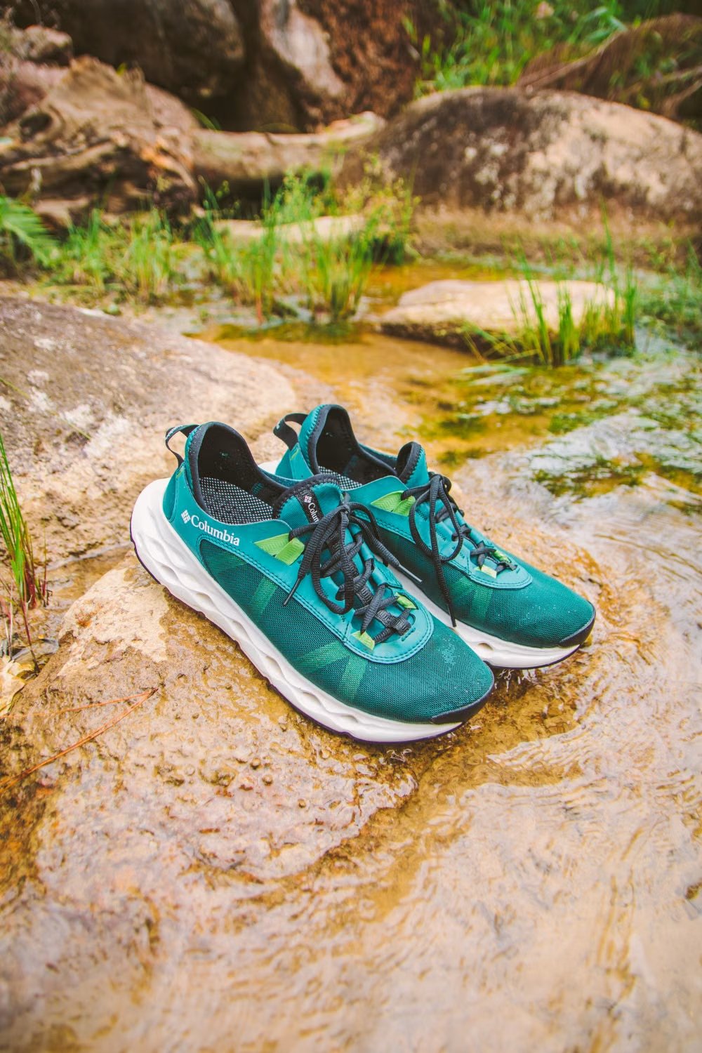 Trail running shoes on a dirt path through a forest with morning light