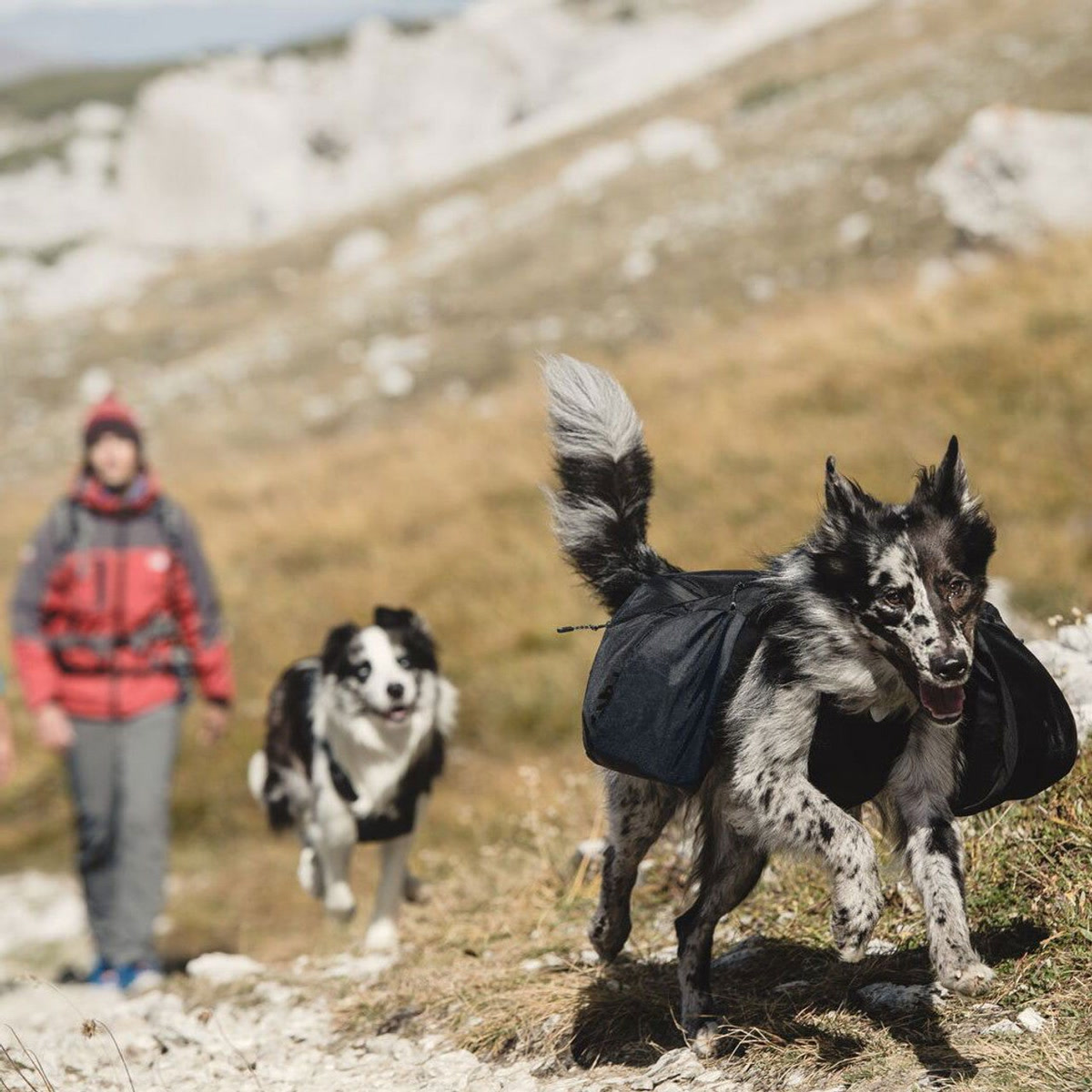 Hurtta Trail Pack dog backpack designed for cold weather hiking