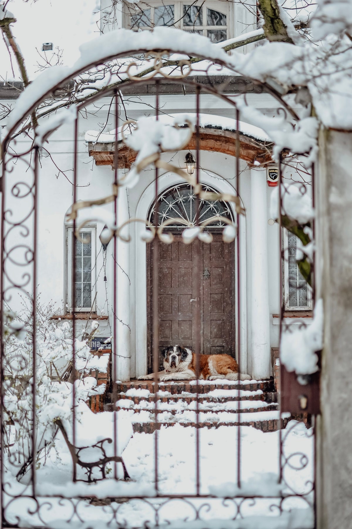 A sturdy white aluminum hardware-mounted dog gate at the top of a staircase, securely installed, a dog sitting safely behind it, well-lit home staircase interior