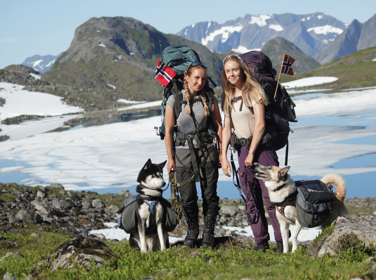 Dog first aid preparedness on the trail