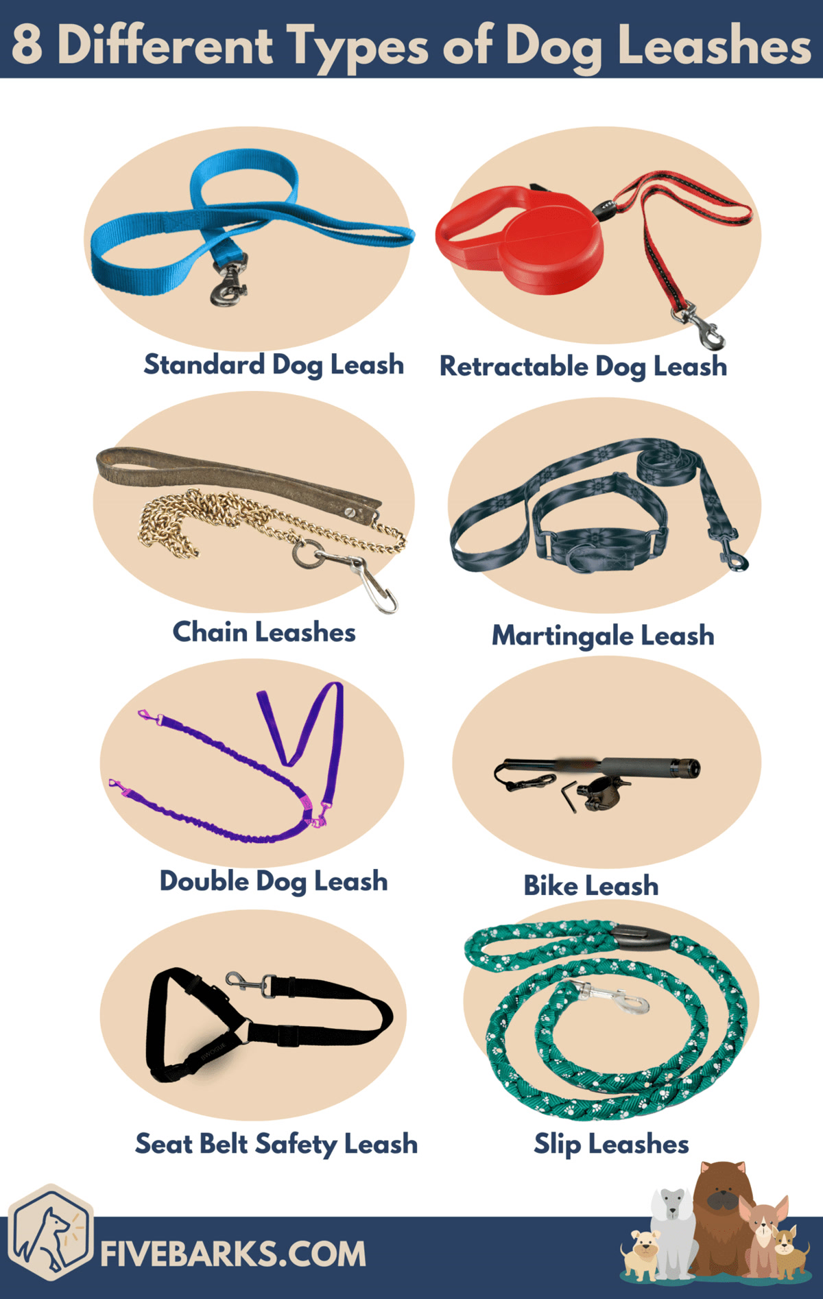 Different types of dog leashes laid out for comparison