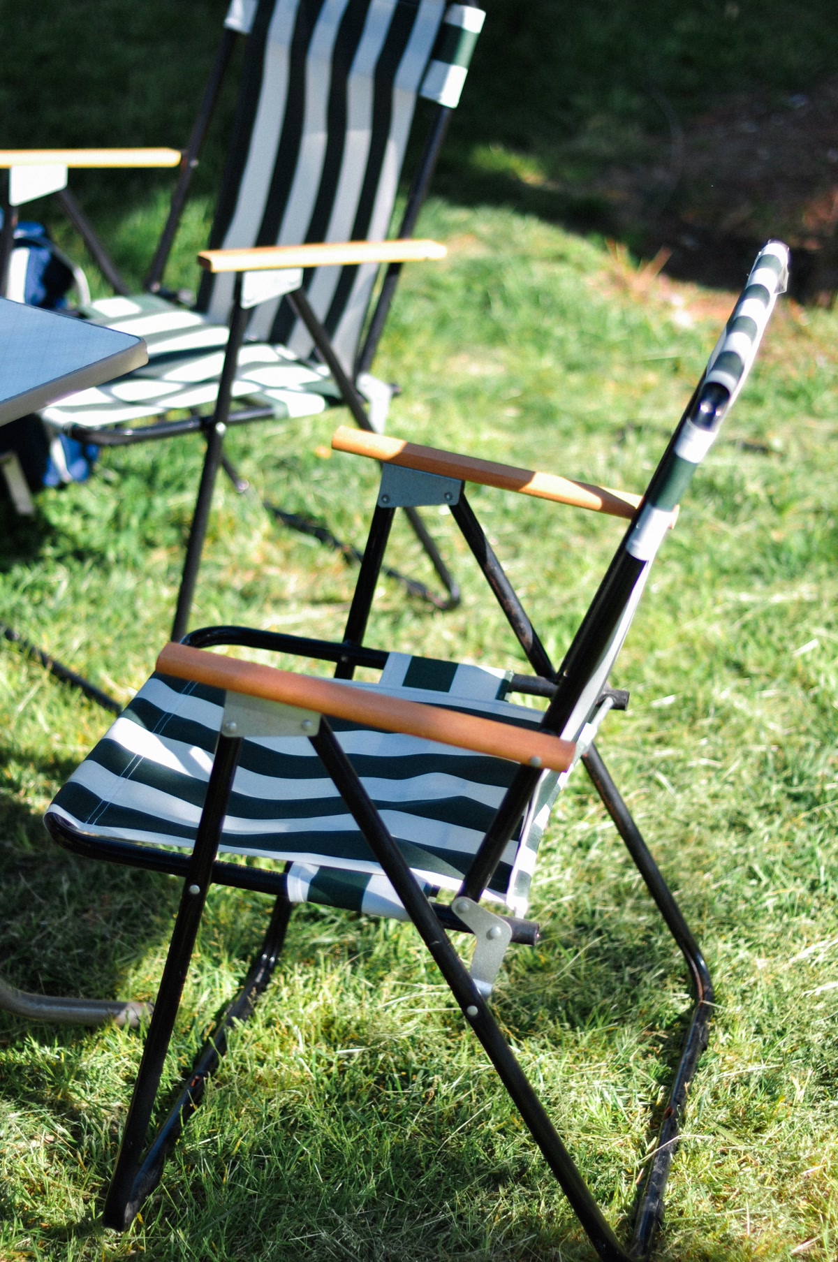Rocking camping chair on a grassy campsite under pine trees
