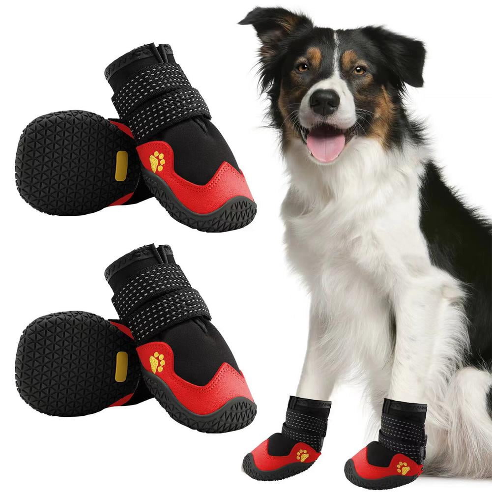 Close-up of dog boots gripping rocky terrain on a hiking trail