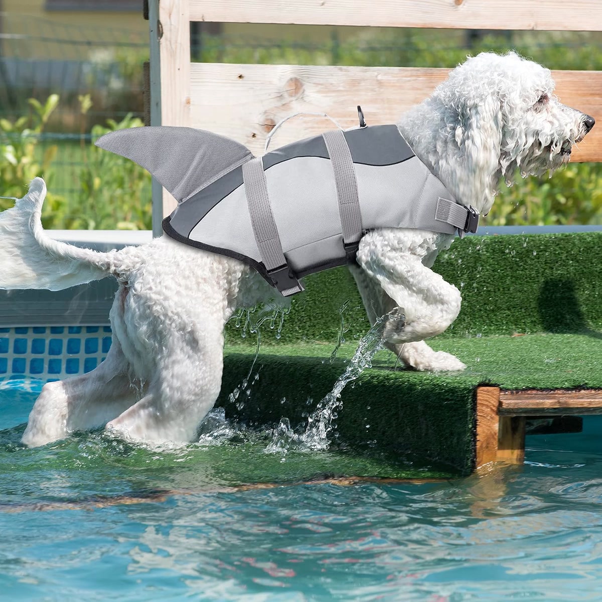 Dog wearing a brightly colored life vest with reflective strips near water