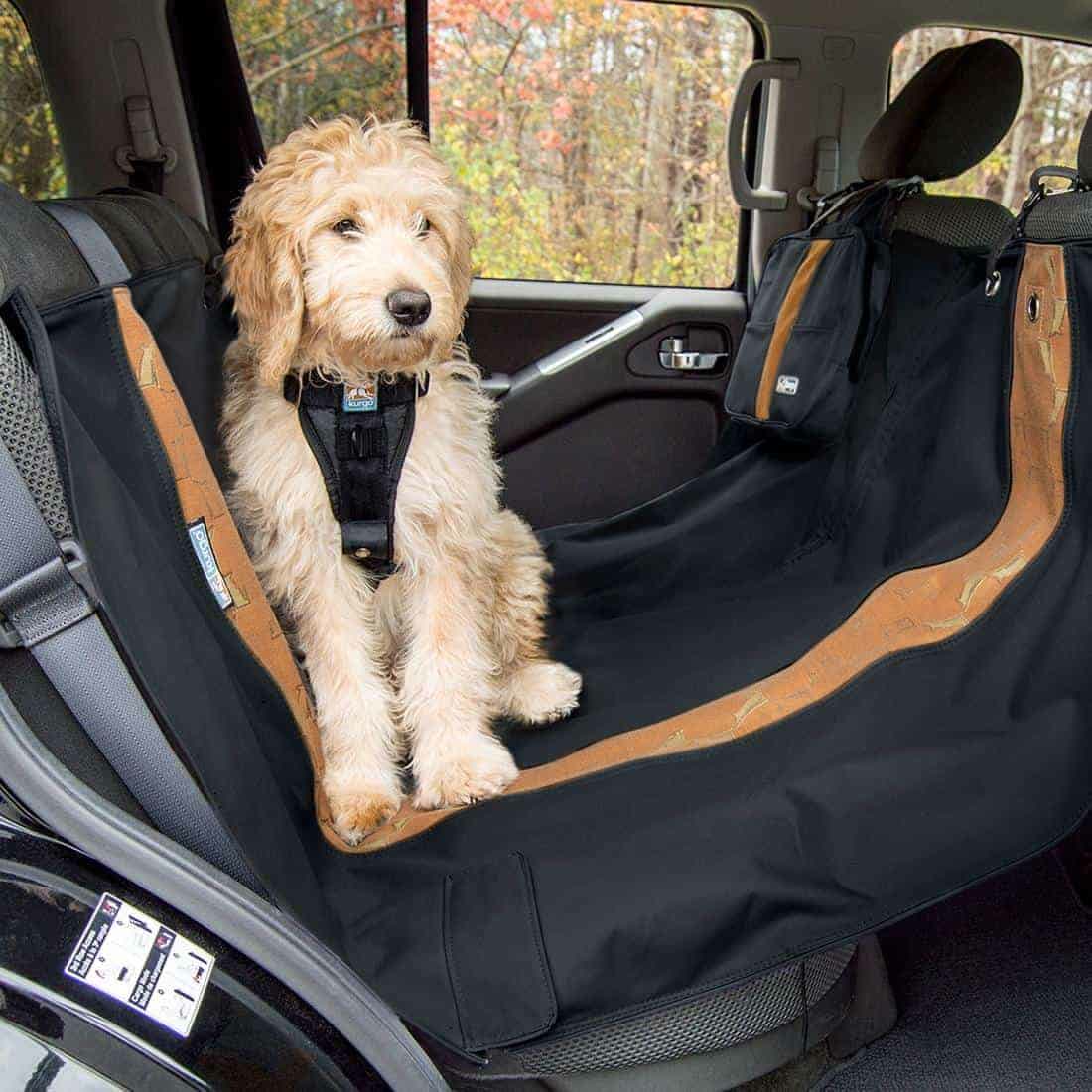 Kurgo Wander Hammock dog seat cover installed in a back seat