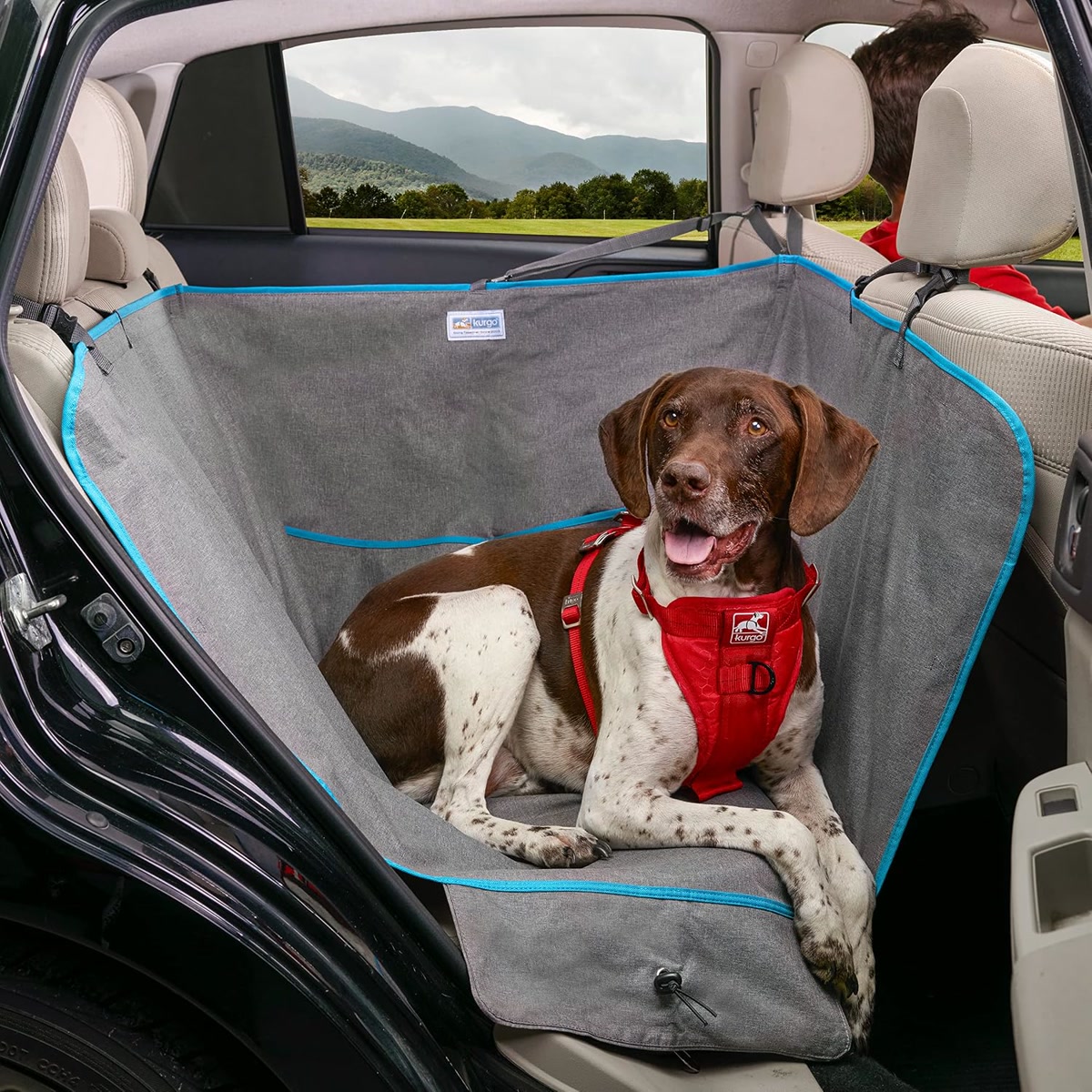 Kurgo bench-style dog seat cover on a rear bench seat