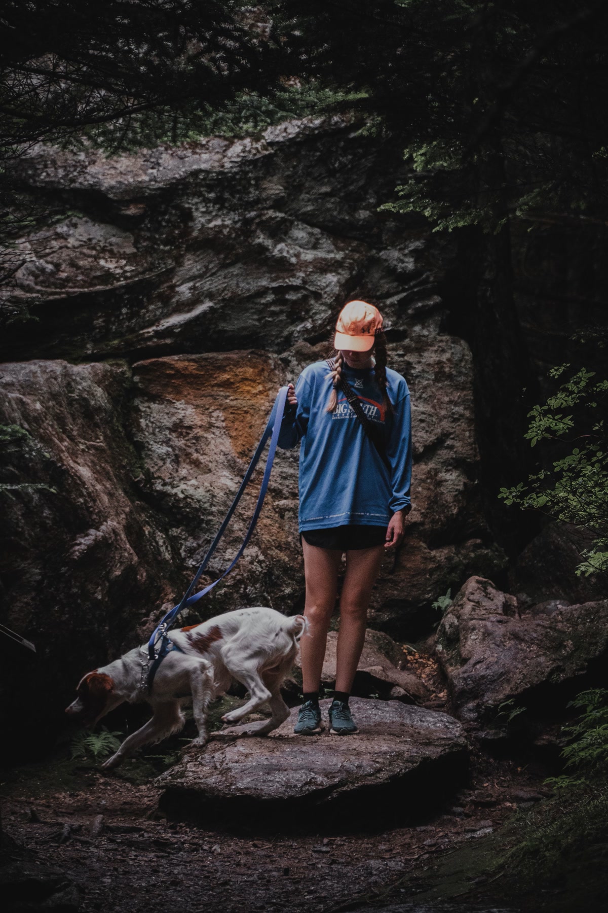 A dog on a six-foot leash walking calmly beside its owner on a forest trail, dappled morning light through trees, adventure photography
