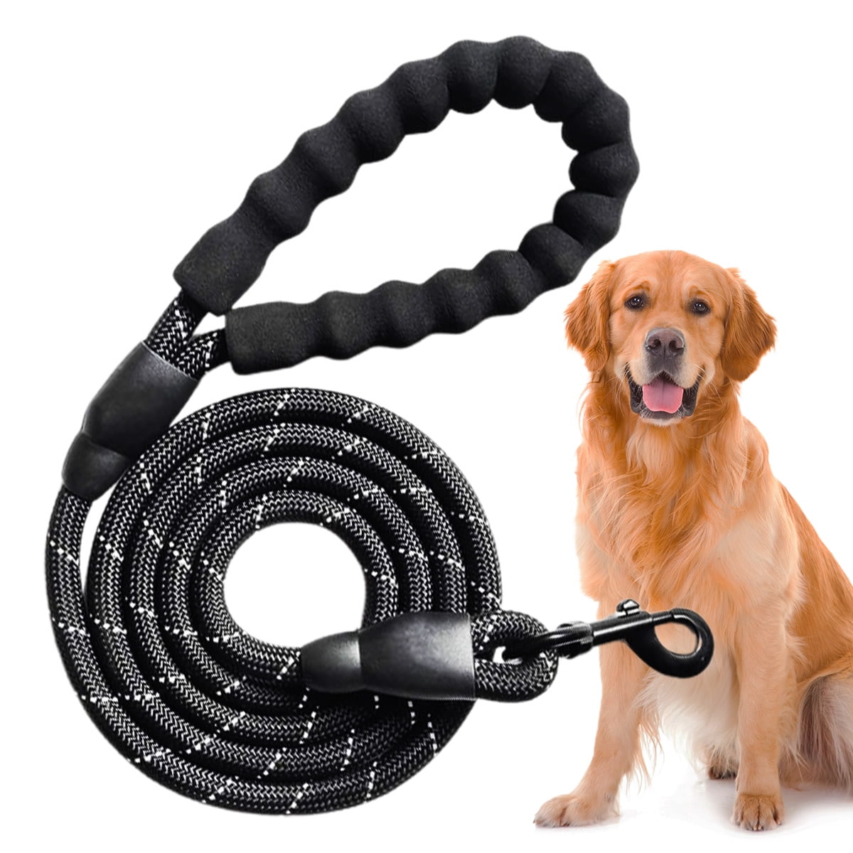 A close-up of a dog owner's hand holding a padded six-foot leash with reflective stitching, dog walking on a city sidewalk, natural daylight, product photography