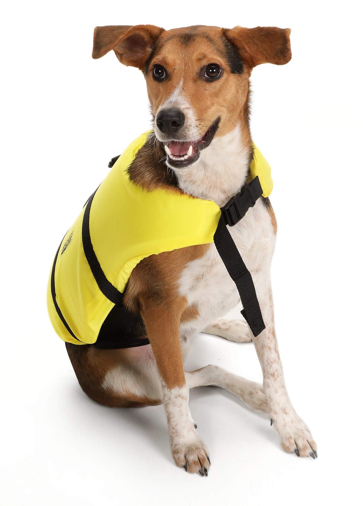 A dog wearing a Ruffwear Float Coat life jacket being lifted by the grab handle out of a lake onto a boat deck, afternoon sun, action photography
