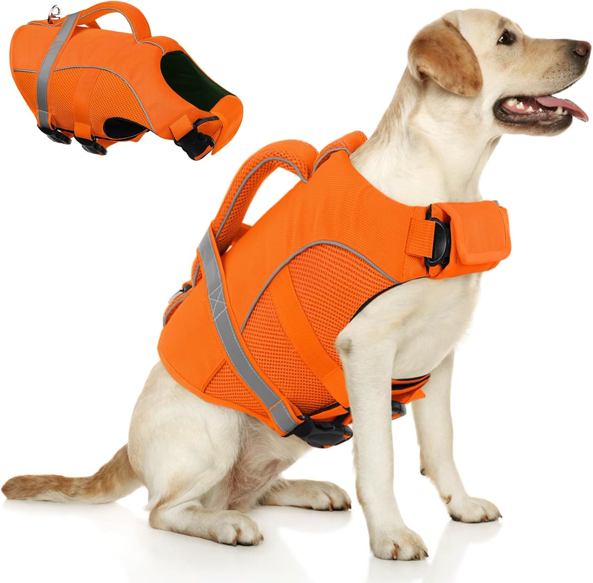 Close-up of a dog life jacket with bright yellow foam flotation panels and reflective trim laid out on a dock next to a life ring, golden hour lighting
