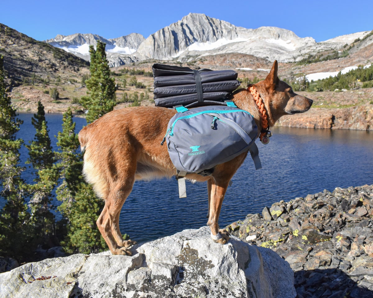 Mountainsmith K9 Dog Pack designed for large breeds with wide girth strap