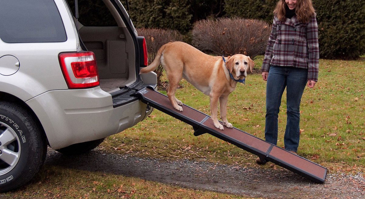 Pet Gear Full Length Tri-Fold Dog Ramp for minivans and SUVs