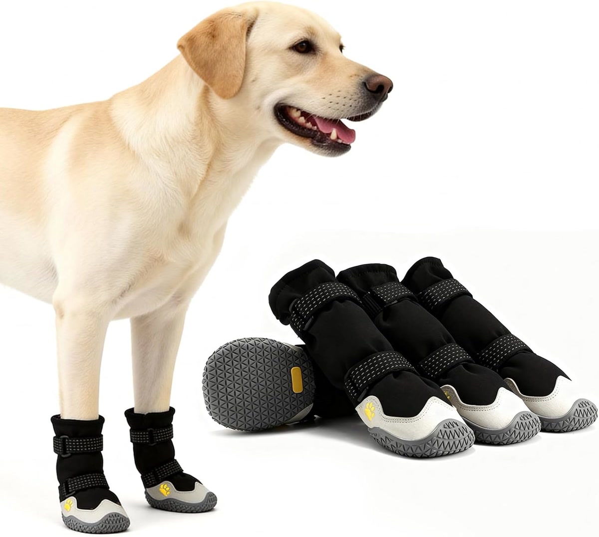 Dog wearing protective boots on a rocky trail
