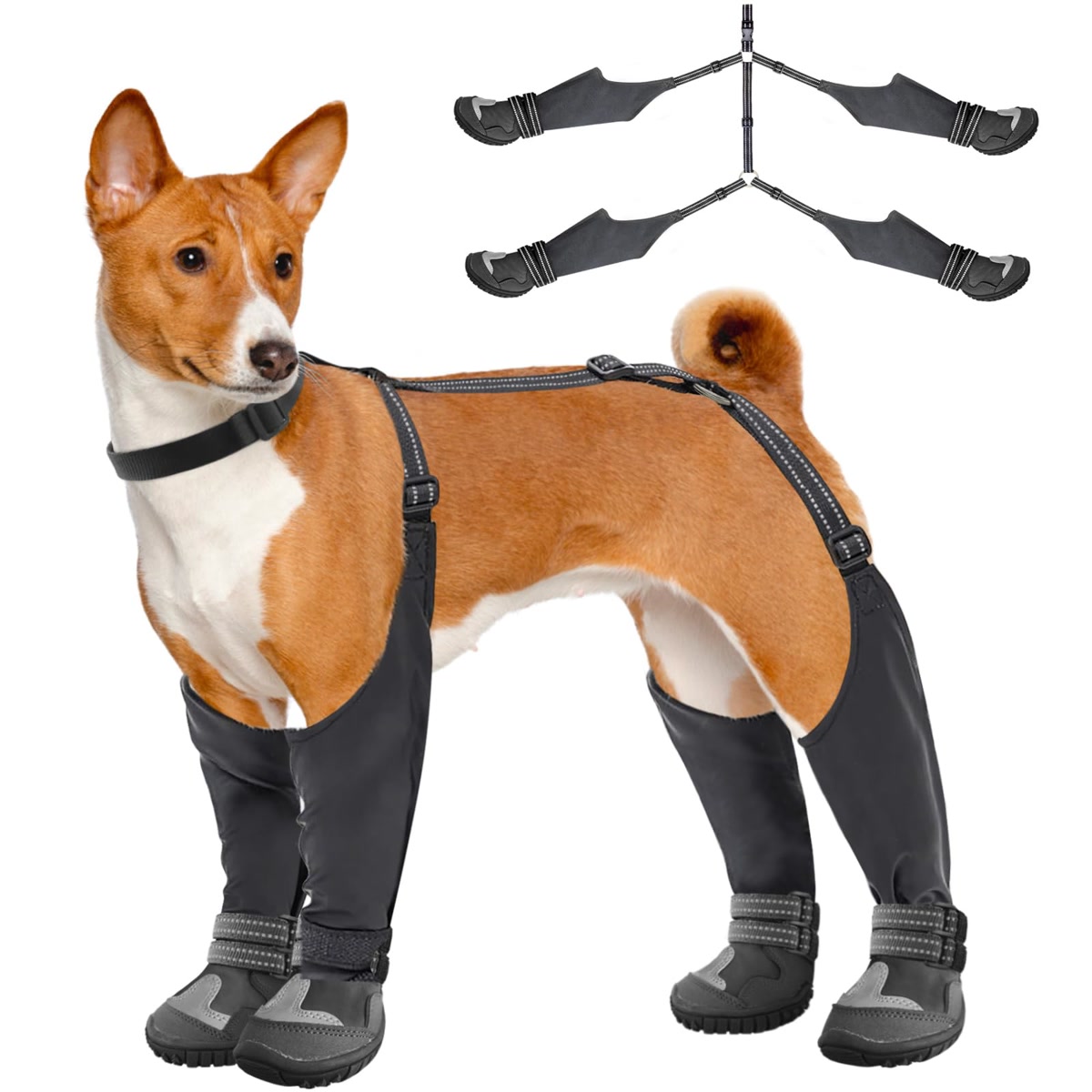 Dog paws wearing flexible boots on hot summer pavement