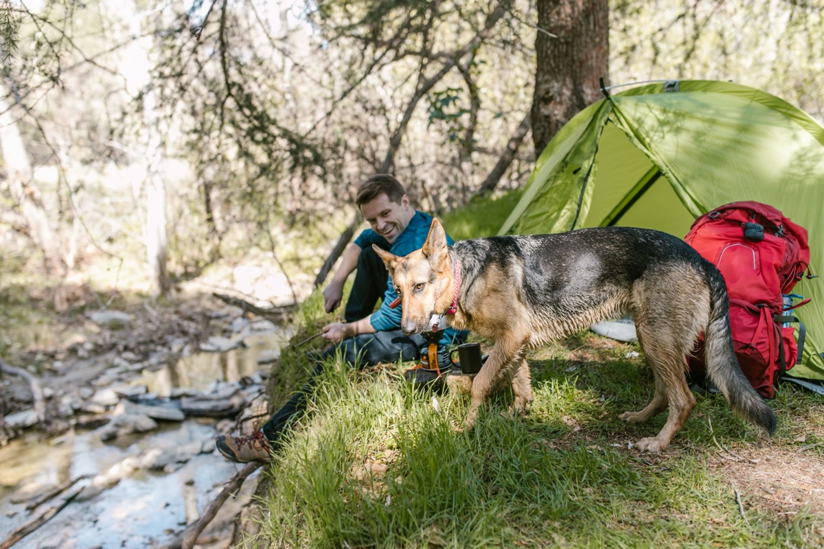 Expert gear recommendations from GearHound