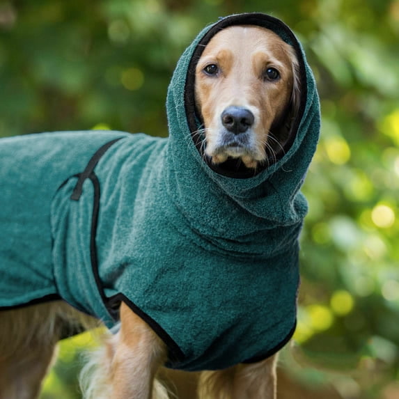 Dog wearing cold weather gear and sweater