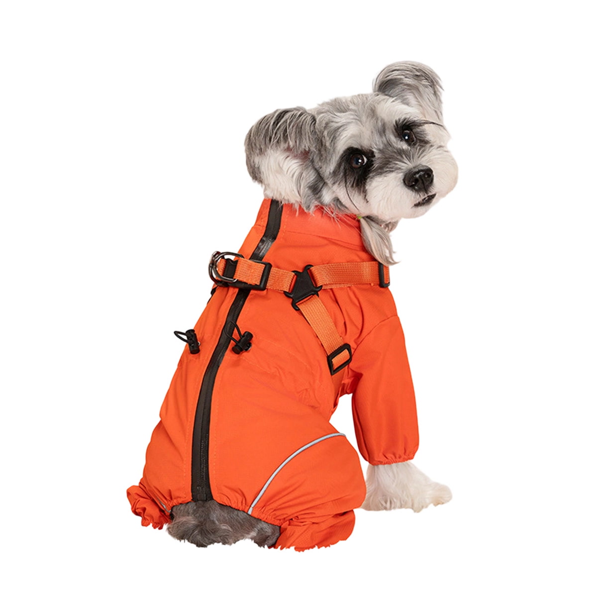 Waterproof dog boots on muddy trail