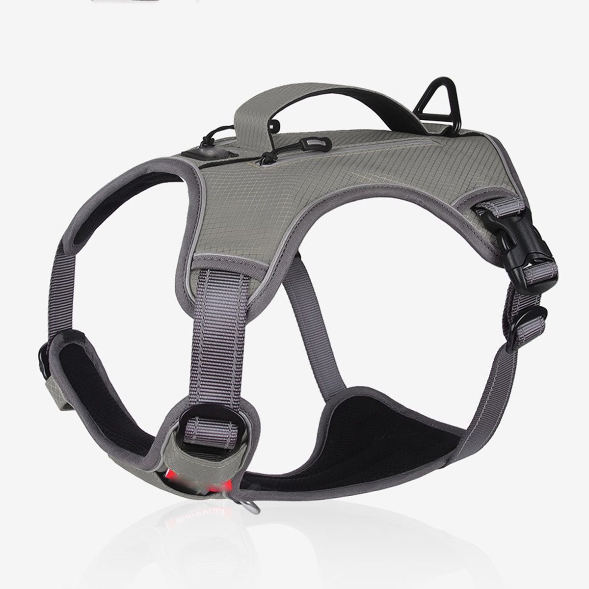 Dog wearing no-pull harness on walk