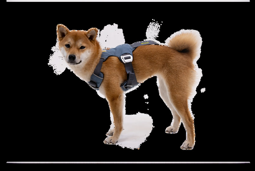 Ruffwear Load Up Harness for car and trail use