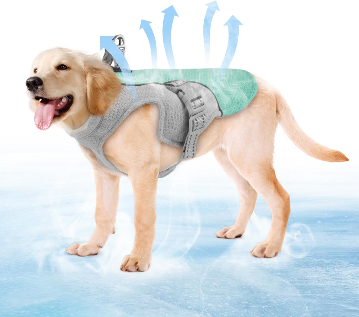 Ruffwear Swamp Cooler dog cooling vest with evaporative fabric